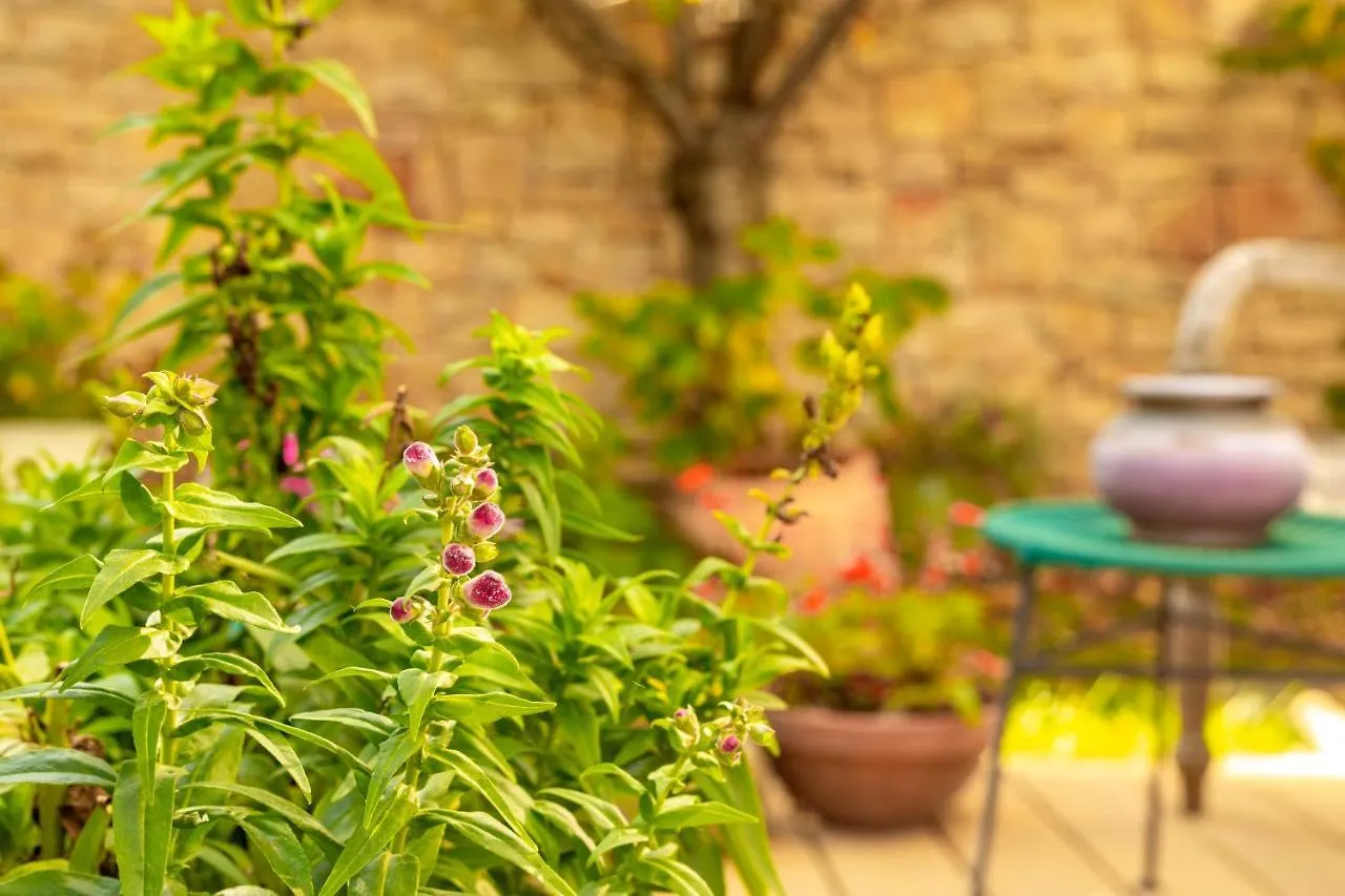 The Rooms Bed & Breakfast Вена Австрия